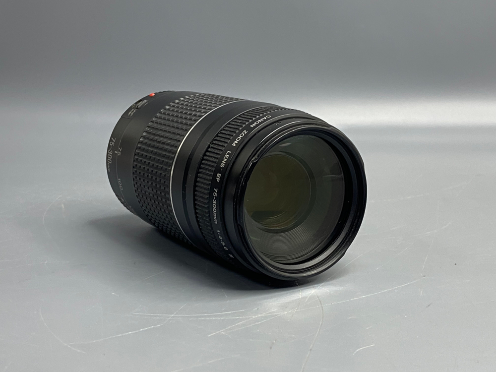 Canon EF 70-300mm F4-5.6 III