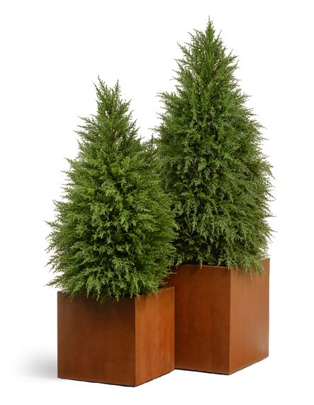 Кашпо TREEZ Effectory - серия Corten Steel - Куб - Кортеновская сталь - Бархатистая окись