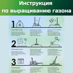 Семена газонной травы, травосмесь Теневыносливый газон, 1 кг/овсяница красная, овсяница тростниковая, фестулолиум, райграс однолетний, овсяница луговая, райграс пастбищный/Газон Сити