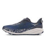 Кроссовки мужские Hoka Speedgoat 6