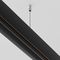 Подвес Maytoni Technical Exility Busbur TRA034SW-2B