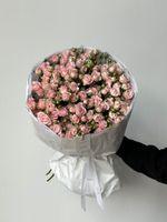 Букет моно из кустовых роз 25 шт в нежно-розовом оттенке