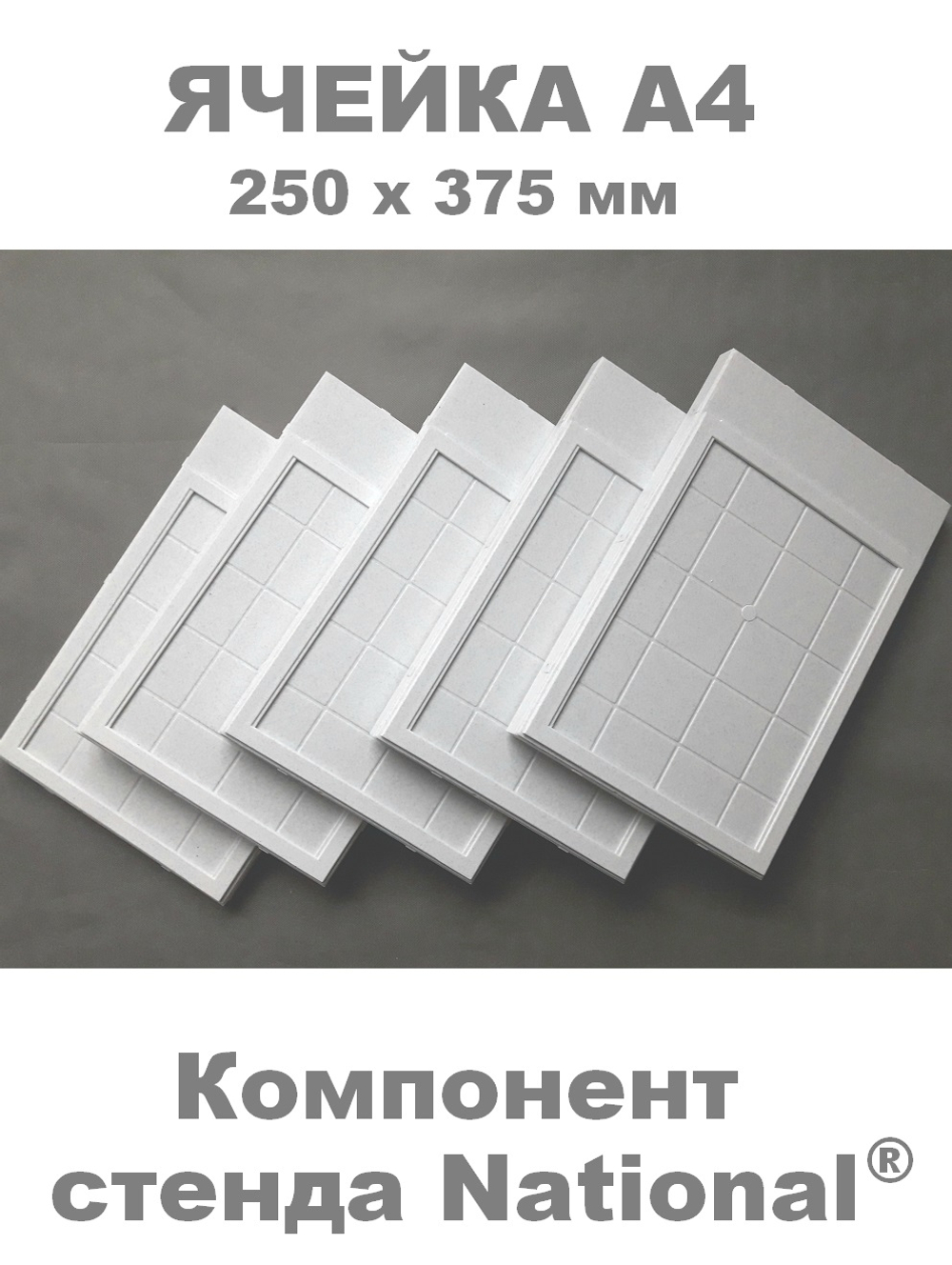 Ячейка А4 - компонент сборного стенда NATIONAL®