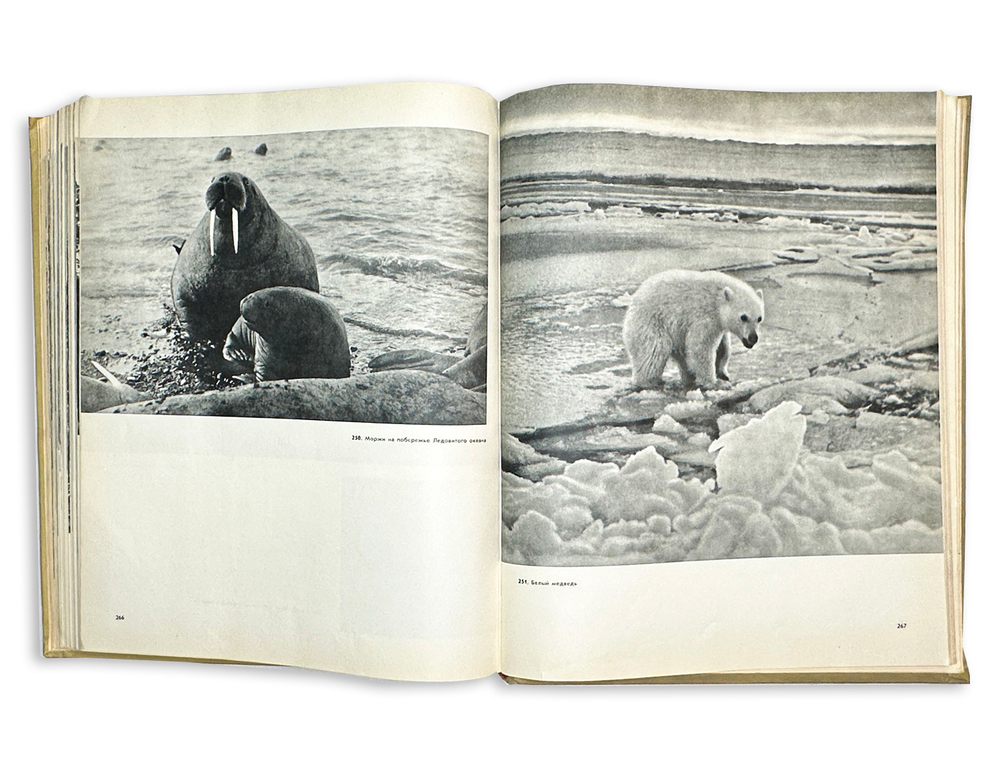 Фотоальбом: Наша Родина. М., Географгиз, 1957 г.