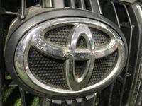 Решетка радиатора Toyota Land Cruiser Prado 150 (2017-н.в.)