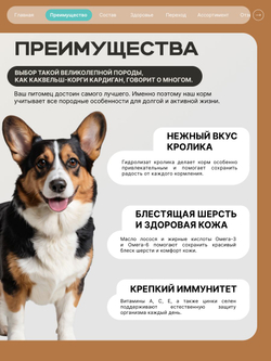Корм для взрослых собак породы Вельш-корги кардиган, с кроликом, 3 кг, QUATTRO