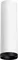 Точечный светильник Rullo R64963487 Lightstar
