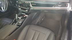 Автоковрики для BMW 5 G30 (2016-->)