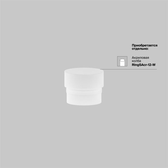 Трековый светильник Maytoni Technical Focus Led TR032-2-12W4K-M-BBS