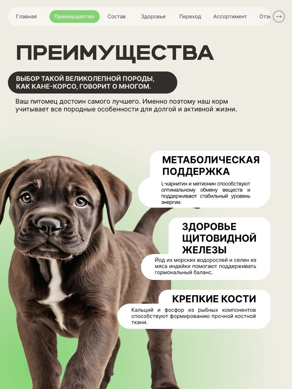 Корм сухой для щенков породы Кане корсо, премиум полнорационный комплекс, с ягненком, 2,5 кг, QUATTRO