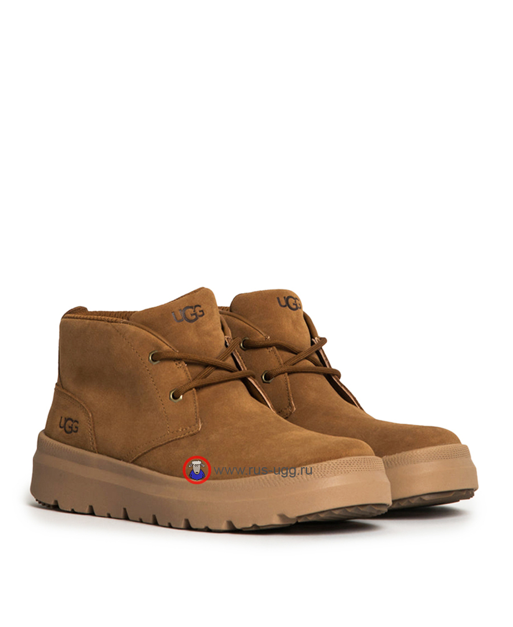MEN'S BURLEIGH CHUKKA Chestnut