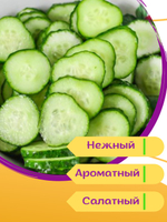 Огурцы китайские жароустойчивые, семена огурцов 0,2 г + семена петрушки или укропа в подарок