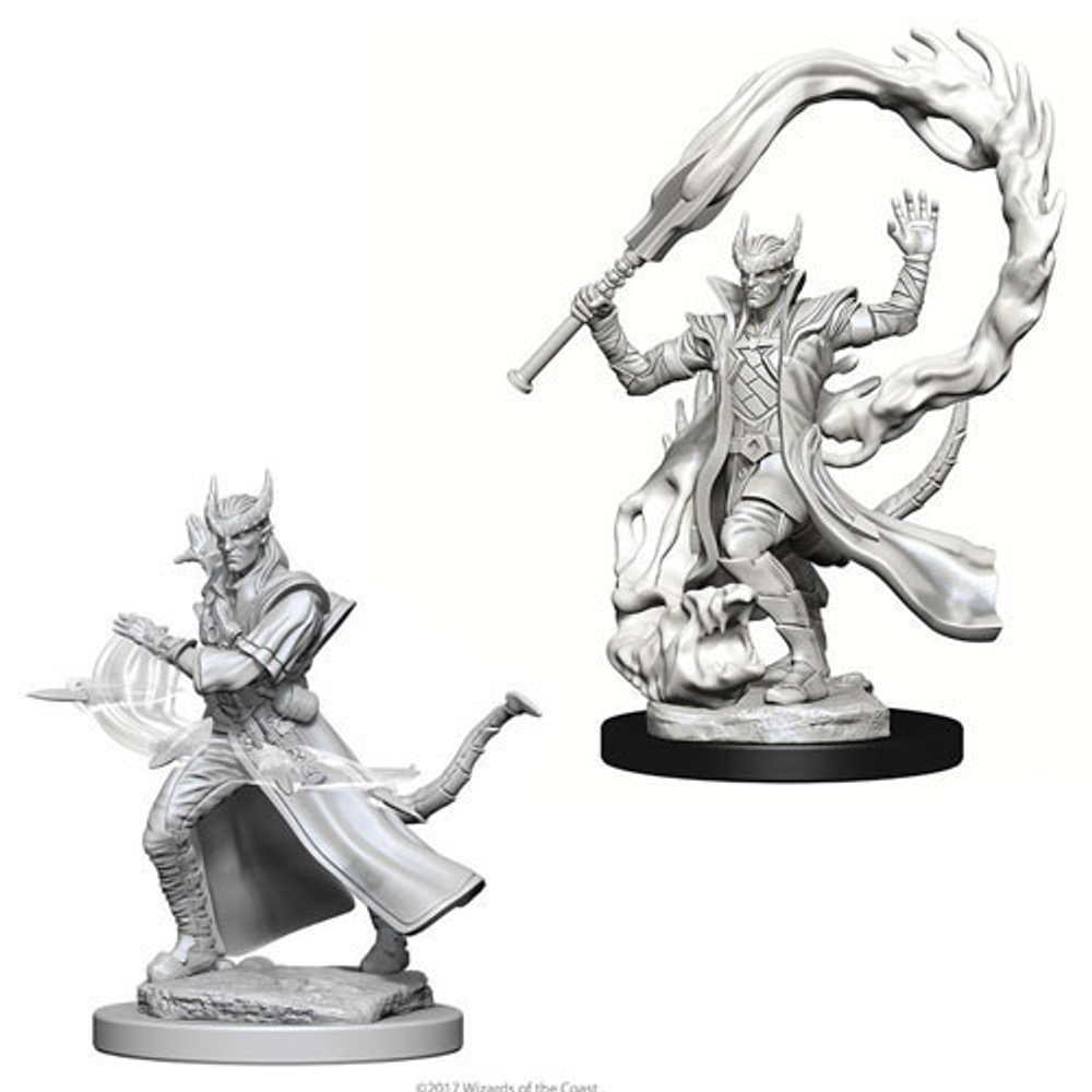 D&D Nolzur's Marvelous Miniatures - Male Tiefling Sorcerer