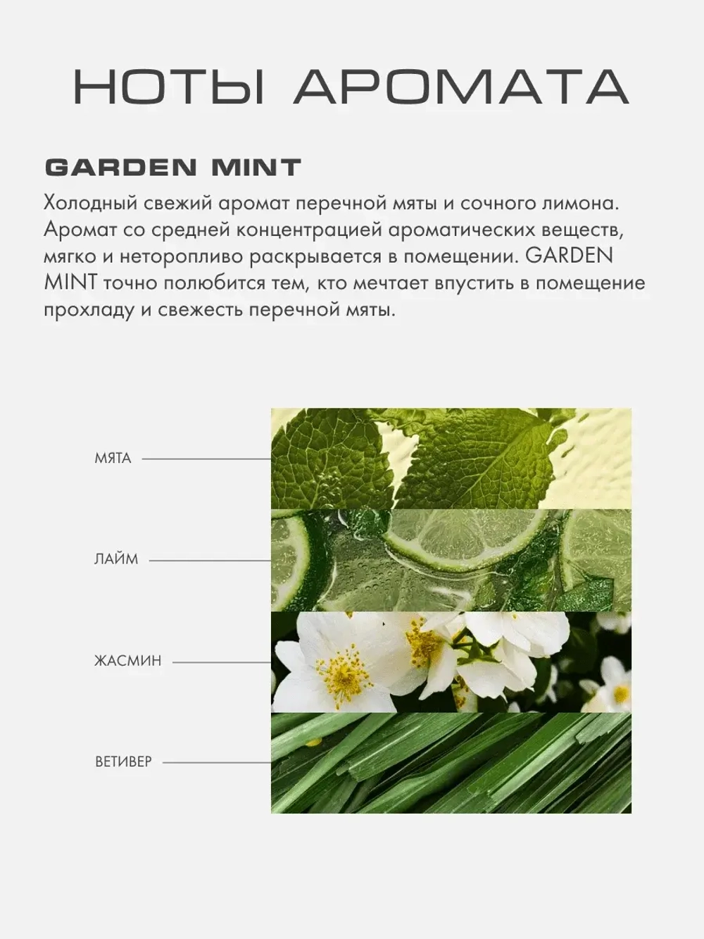 Свеча САДОВАЯ МЯТА (GARDEN MINT)