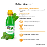 ISB Fruit of the Groomer Mint Шампунь для любого типа шерсти с витамином В6 500 мл