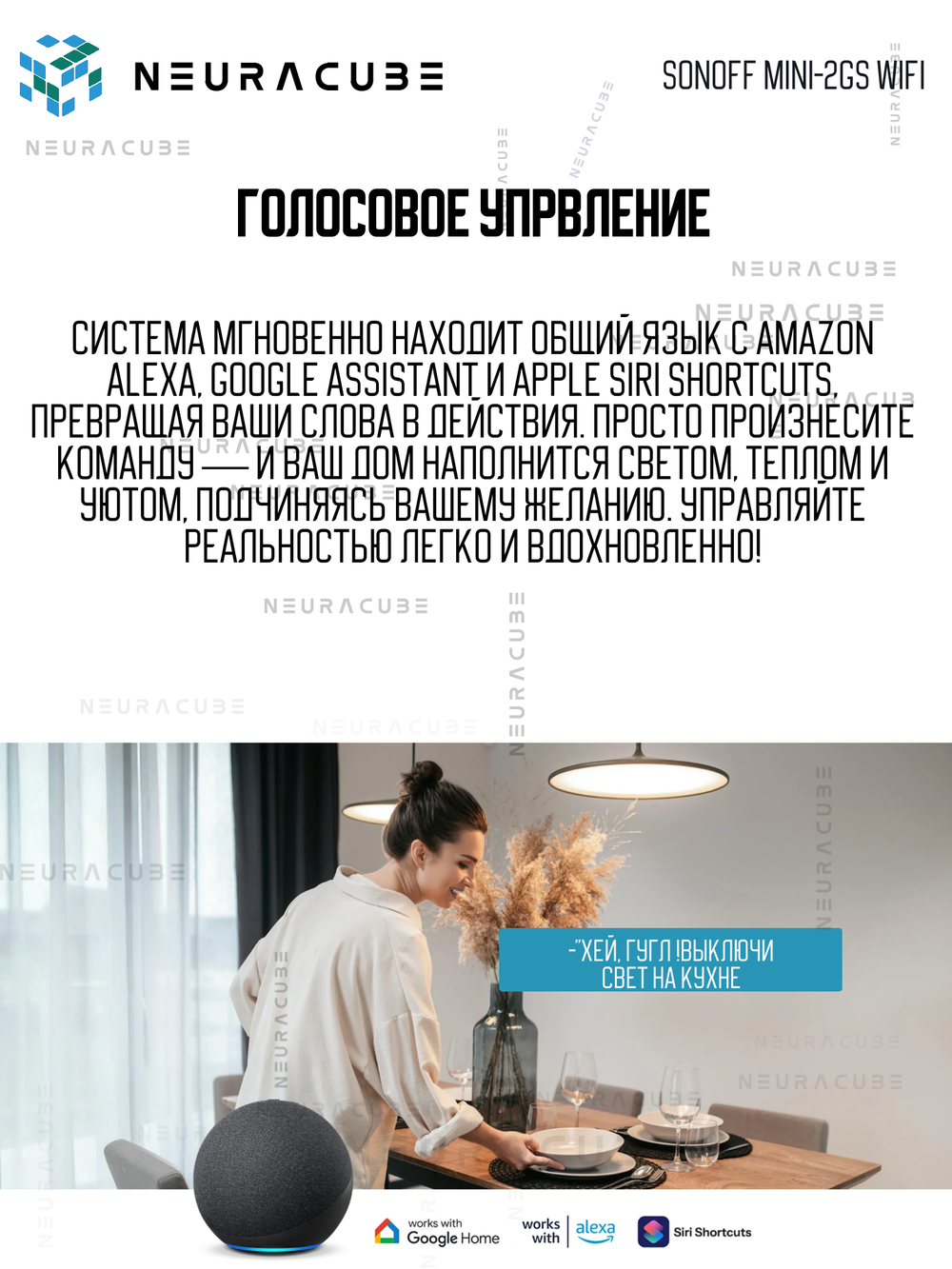 Умное Двухканальное Zigbee реле SONOFF MINI-ZB2GS (10А-на канал)