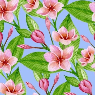 ЦВЕТУЩАЯ ПЛЮМЕРИЯ НА ГОЛУБОМ ФОНЕ
