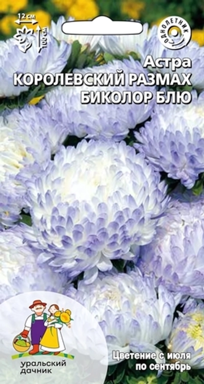 Семена Астра Королевский размах биколор блю (УД) Е/П