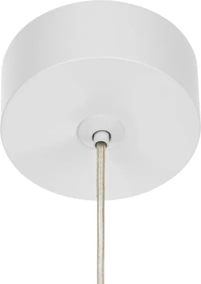 Подвесной светильник Bruno CL565010 Citilux