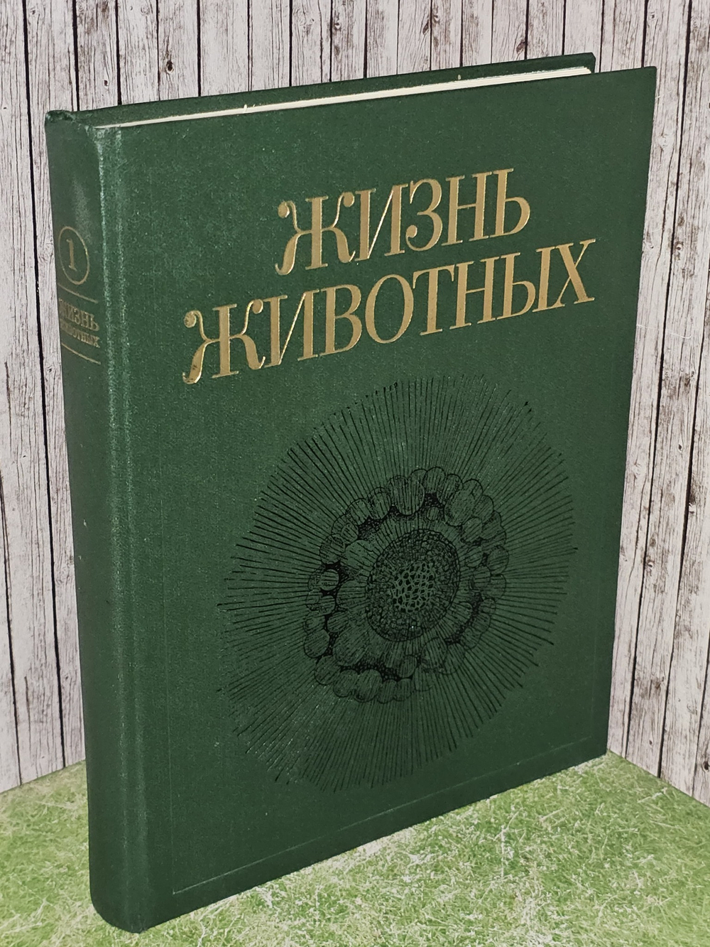 Жизнь животных. Том 1. Простейшие. Пластинчатые
