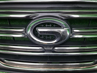 Решетка радиатора GAC GN8 (2019-2023)