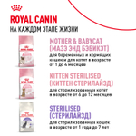 Royal Canin Kitten Киттен Корм сухой сбалансированный для котят в период второй фазы роста до 12 месяцев 2кг