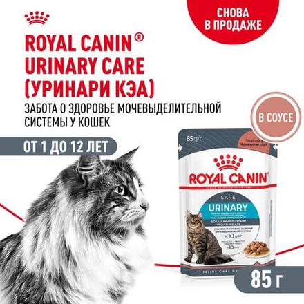 Royal Canin Urinary Care Уринари Кэа Корм влажный диета для взрослых кошек для поддержания здоровья мочевыделительной системы соус 85г