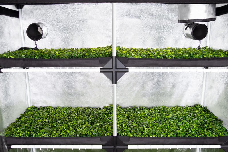 Гроутент для рассады GARDEN HIGHPRO PROBOX PROPAGATOR XL