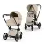Детская коляска Cybex Priam V Style 2 в 1 Cozy Beige