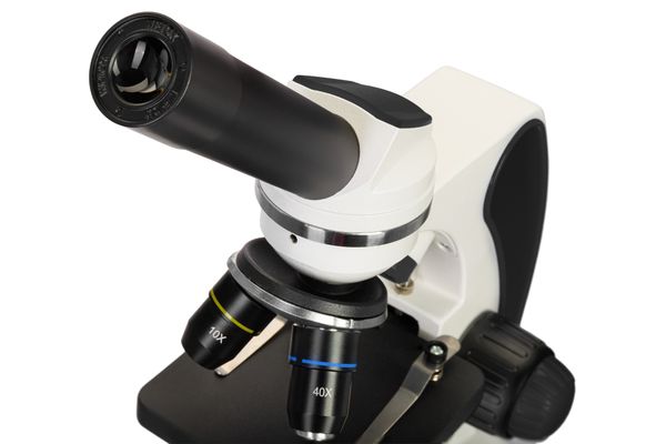 Микроскоп Levenhuk Discovery Pico с книгой, 77977