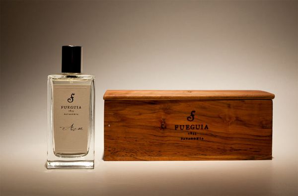 Fueguia 1833 Azar