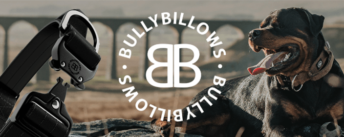 BullyBillows