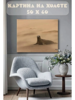 Картина на стену 40 X 50 Тюлень