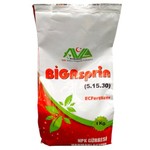 BIGAsprin