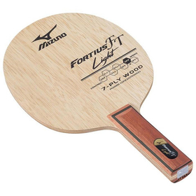 Mizuno Fortius FT Light