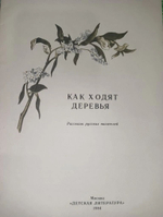 Как ходят деревья
