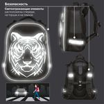 Ранец BRAUBERG SHINY, 2 отделения, "Tiger", СВЕТЯЩИЙСЯ РИСУНОК, 36х28х14 см, 270698