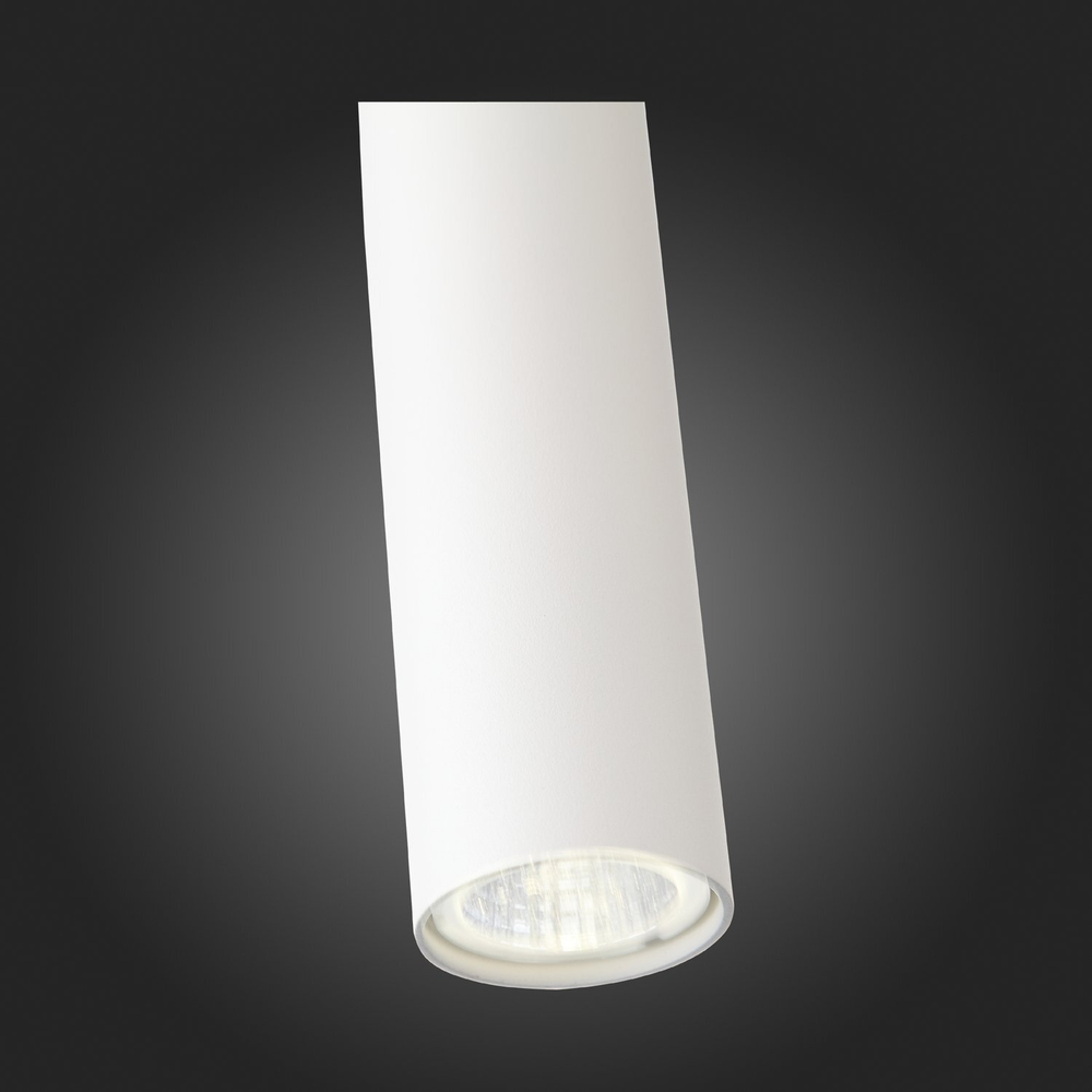 Светильник подвесной ST Luce SL1592.503.01