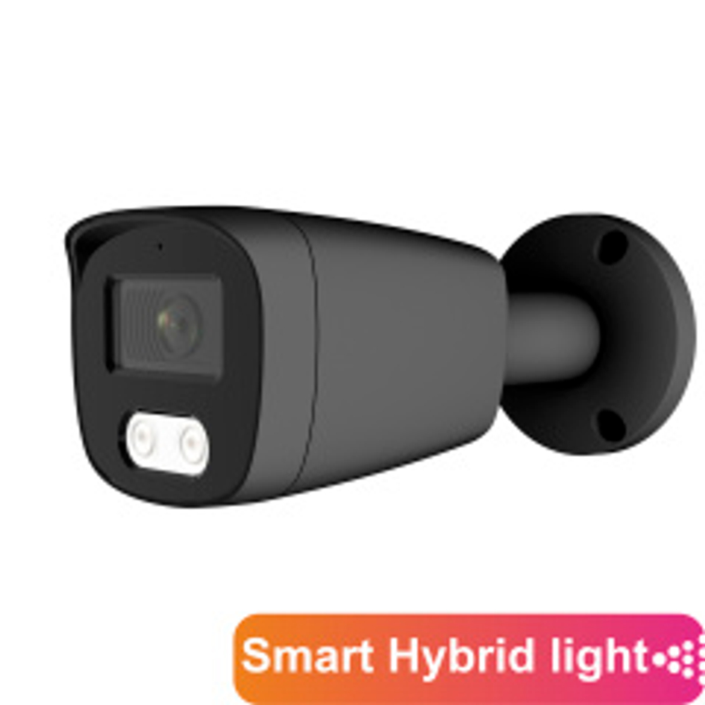 AltCam ICF83IR(RU)(b)