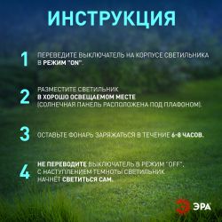 Светильник уличный ЭРА ERASF23-13 Камыши на солнечной батарее садовый высота 60 см 5 шт 5 LED | Садовые декоративные светильники