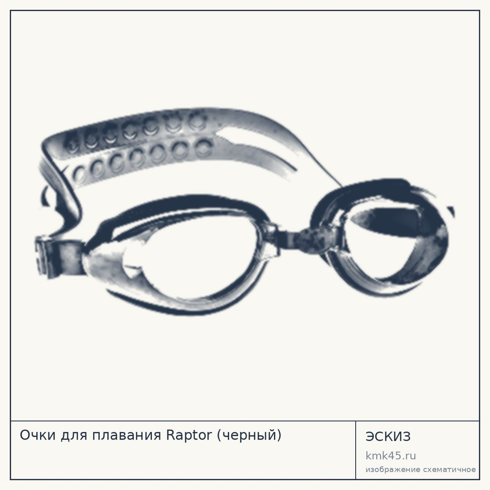 Очки для плавания Raptor (черный) — от 930 ₽