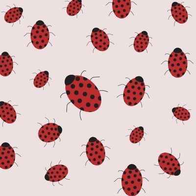 Bug pattern
