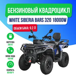 Бензиновый квадроцикл WHITE SIBERIA BARS 320 - Синий фото №2