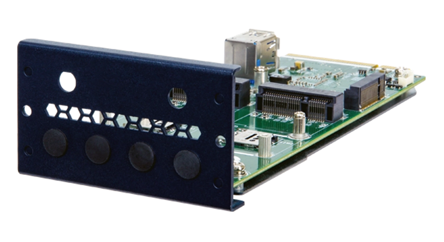 PulM-2P1M