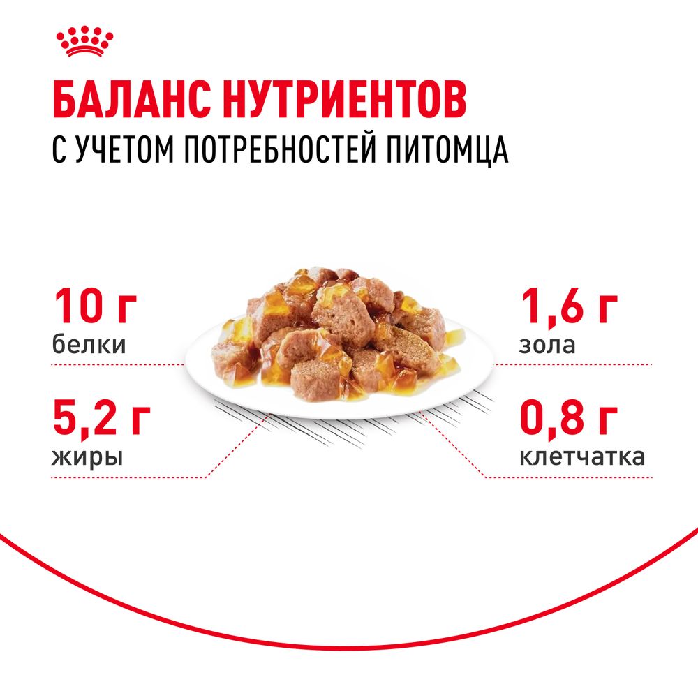 Пауч Royal Canin Ageing +12 для стареющих кошек в возрасте старше 12 лет, мелкие кусочки в желе