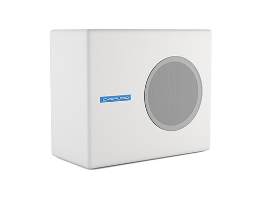 CVGaudio SUBone Model A-6 CR T