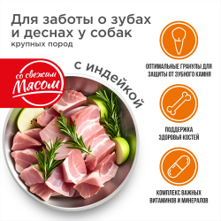 Корм сухой для взрослых собак крупных пород, премиум полнорационный комплекс, для заботы зубов и десен, с индейкой, 12 кг, QUATTRO