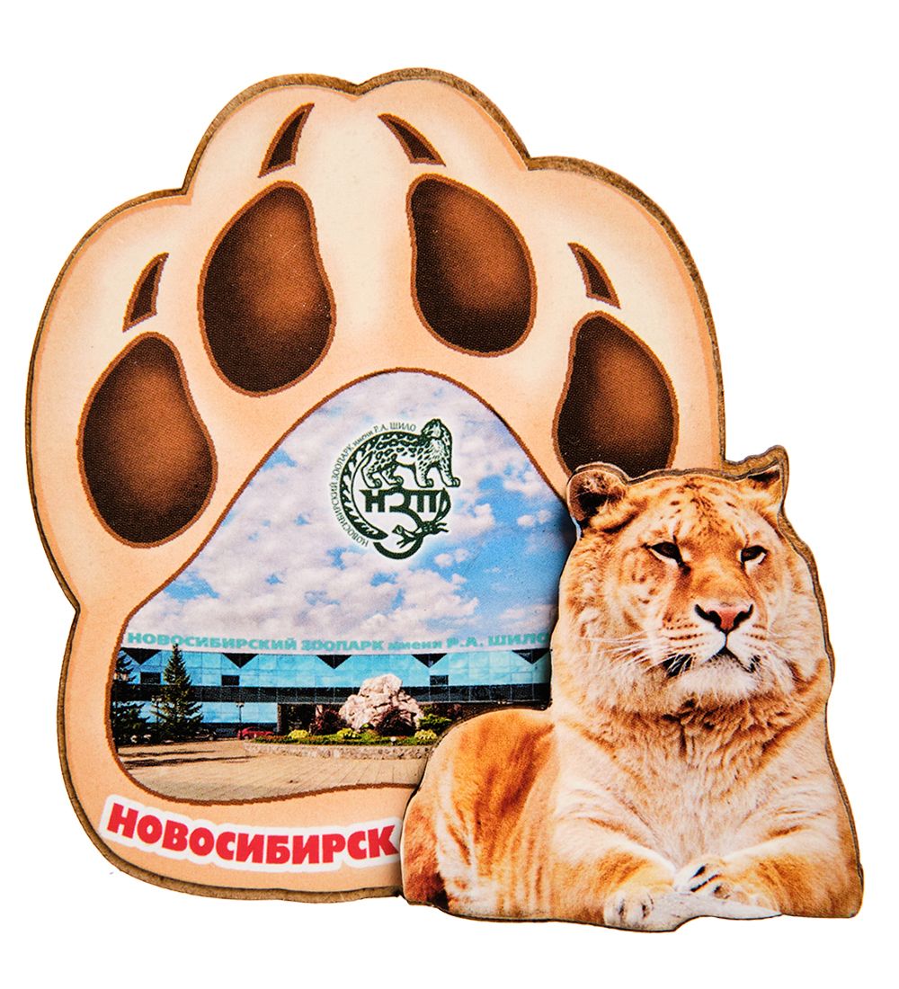 МТ- 005/01 Магнит «Новосибирск»