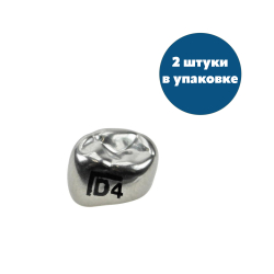 Первый нижний левый моляр, размер 4 (D-LL-4)