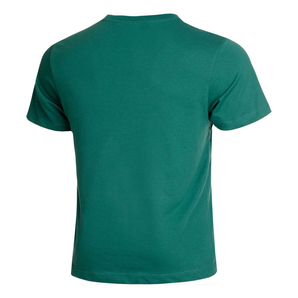 Мужское теннисное поло Wilson Graphic T-Shirt Men - Green